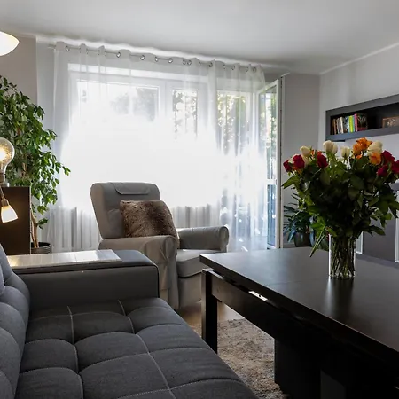 Chicago - Deptak * 비스와