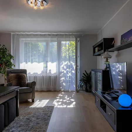 Chicago - Deptak 비스와