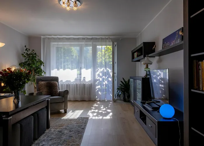 Chicago - Deptak ויסלאו