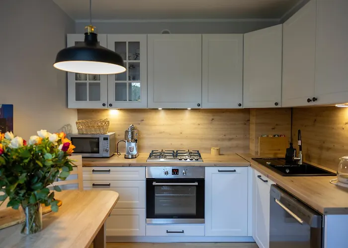 דירה Chicago - Deptak ויסלאו